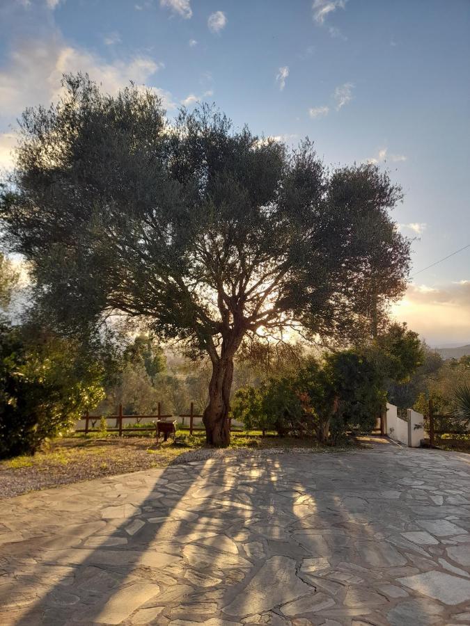 Agriturismo Palas De Serra Country Resort Onifai Exteriör bild