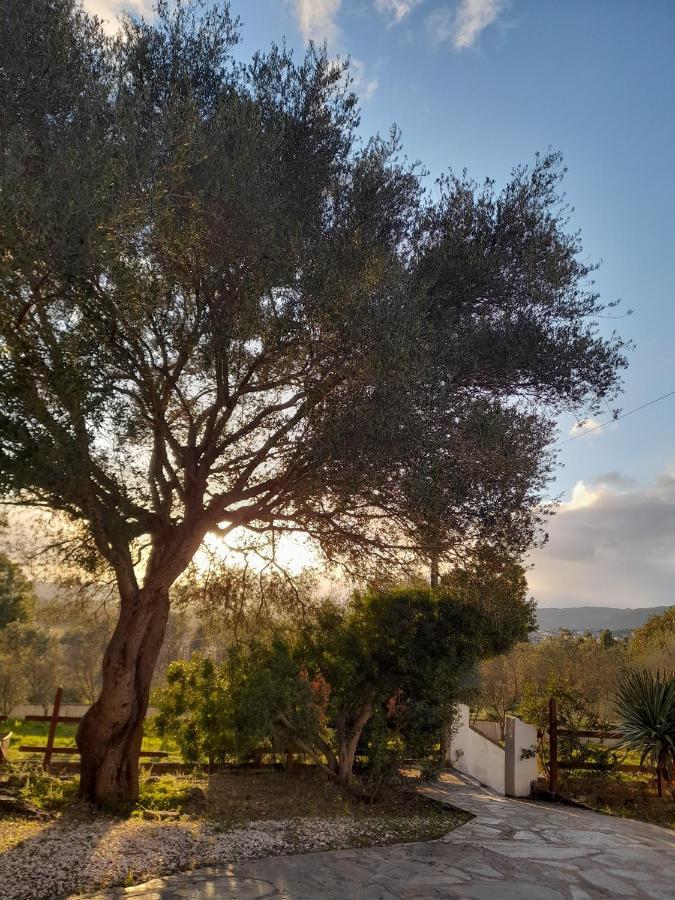 Agriturismo Palas De Serra Country Resort Onifai Exteriör bild