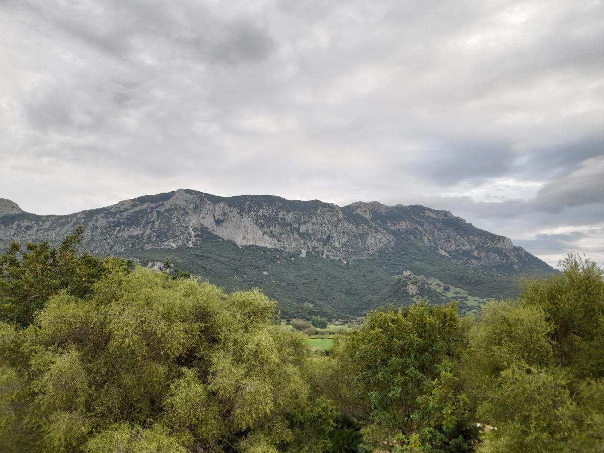 Agriturismo Palas De Serra Country Resort Onifai Exteriör bild
